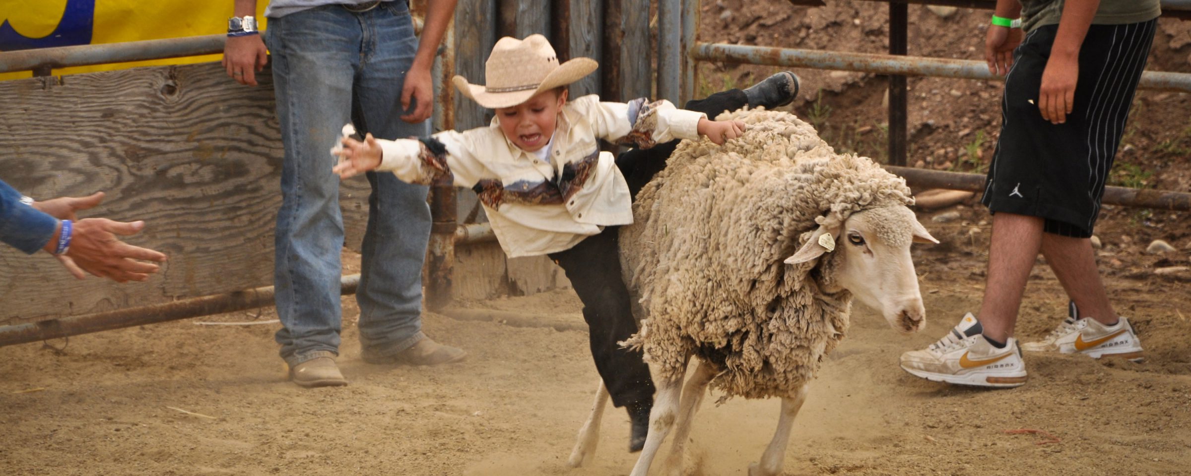 Mutton Busting