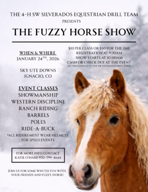 Fuzzy Horse Show